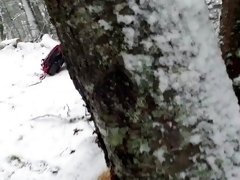 Attempting To Piss On A Tree Together.